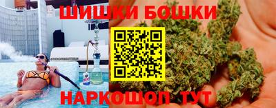 гидра Будённовск