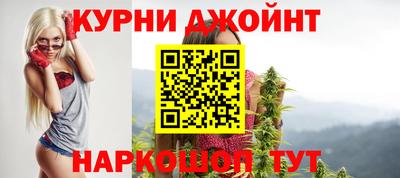 гидра Будённовск