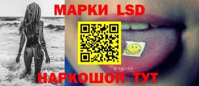 гидра Будённовск