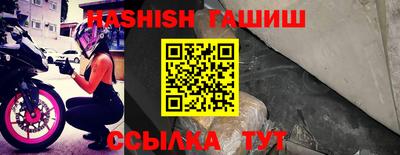 гидра Будённовск
