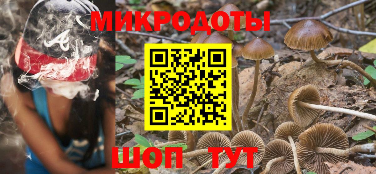 Псилоцибиновые грибы Psilocybe Свободный