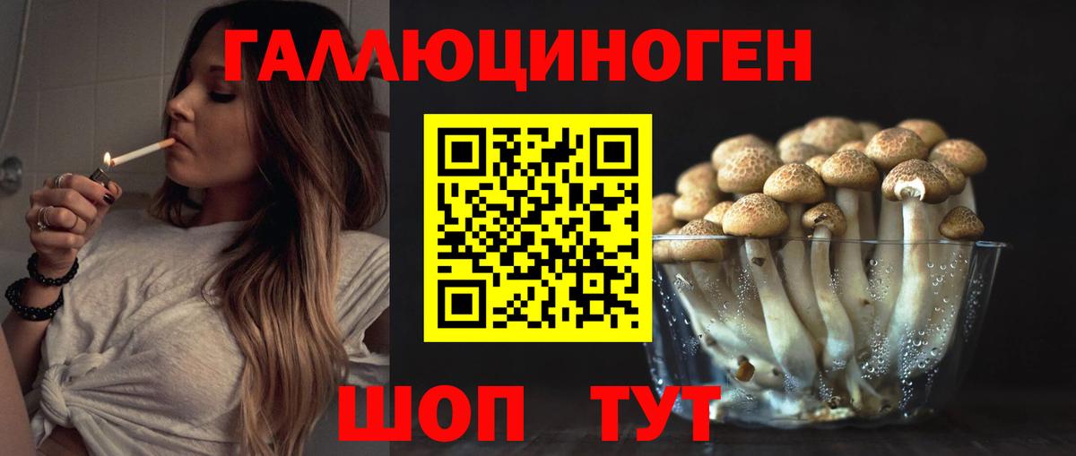 Псилоцибиновые грибы мицелий  наркошоп  Свободный  Вход с VPN 